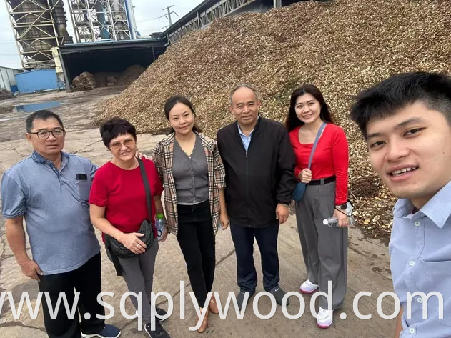 Super High UV MDF Shiny MDF for Making Tables or Cabinets